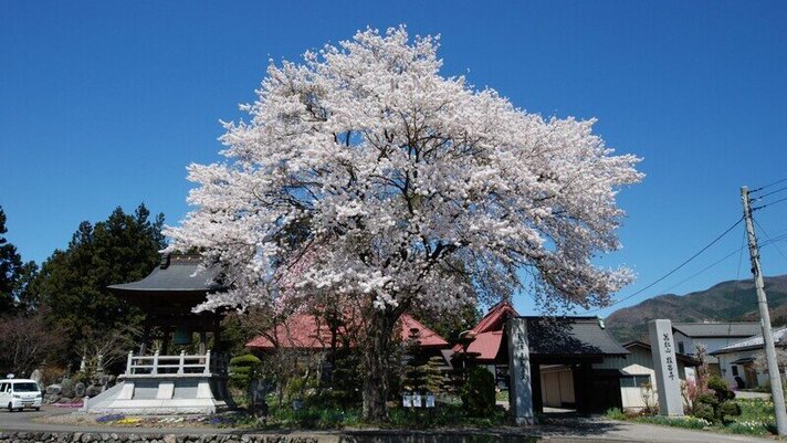 桂昌寺