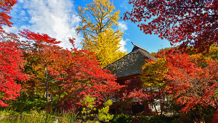 臨済宗建長寺派青龍山 吉祥寺の紹介画像7