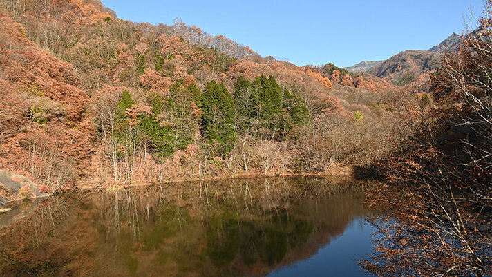 川場谷ダムの紹介画像2