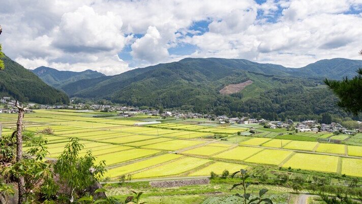 愛宕山の紹介画像5