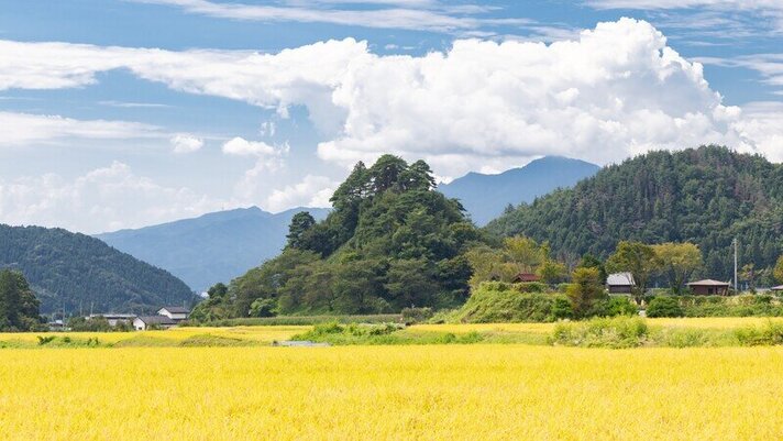 愛宕山の画像