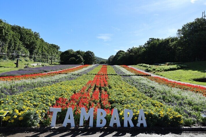 たんばら高原の画像